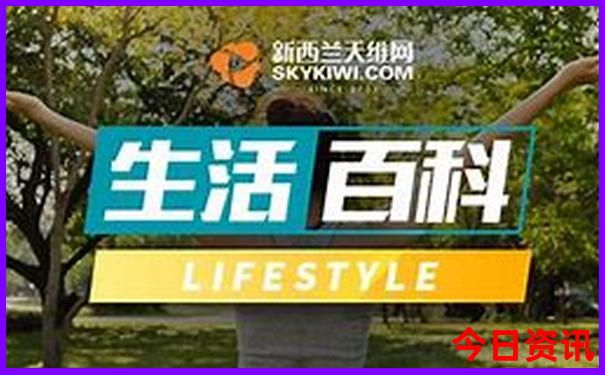 全新推荐2025独家资料年全新获取新独家资料奥正版-2025全年免费资料大全